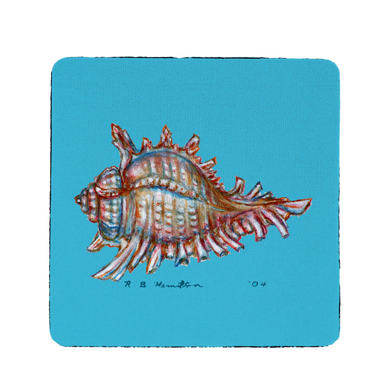 Conch Coaster