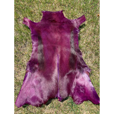 Dyed Purple Springbok Hide