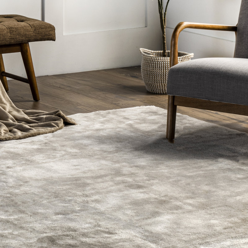 Loni Solid Machine Washable Accent Shag Rug for Living Room Bedroom Dining Room Nursery Entryway, Square 6'