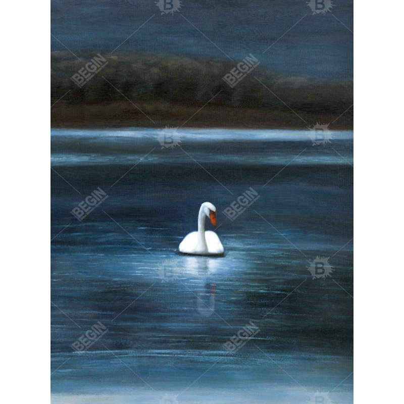 Magnifique cygne - toile de paysage romantique pour la décoration intérieure