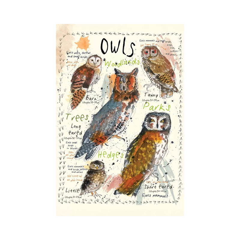 Owls by Michelle Campbell - Wrapped Canvas Painting, 45.72cm H x 30.48cm W x 1.91cm D