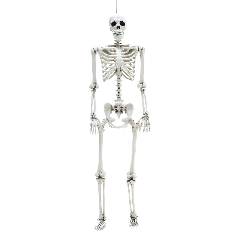Halloween Figurines & Collectibles, 160cm
