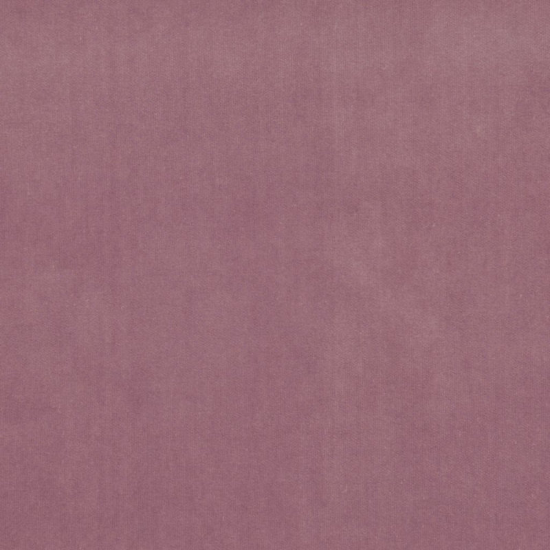 Tissu de luxe, Améthyste