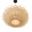 Grand luminaire suspendu 1 lumière