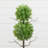 Artificial Eucalyptus Topiary in Planter-591767358