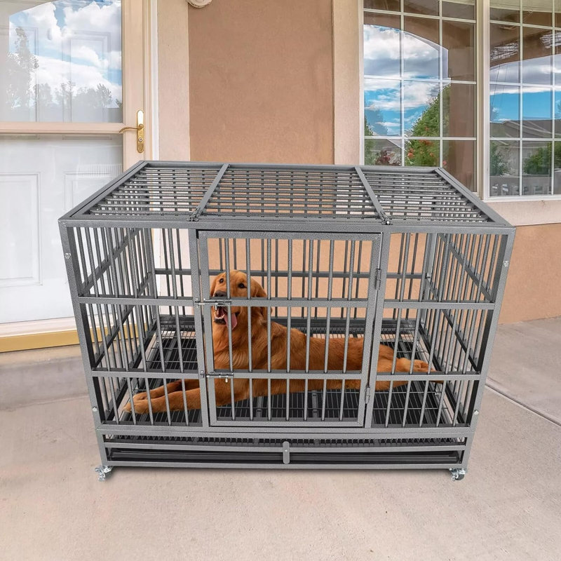Caisse pour chien robuste de 47 pouces, niche pour chien indestructible, chenil à 2 portes pour chiens de taille moyenne à grande avec plateau amovible, cage pour chien à forte inquiétude pour l'intérieur et l'extérieur 