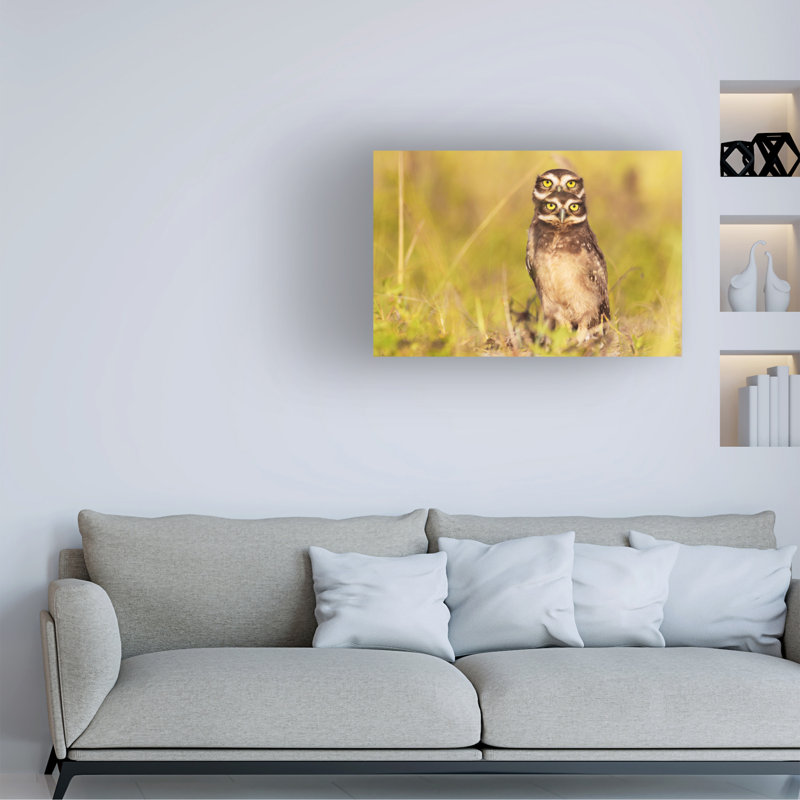 Itamar Campos 4 yeux! Art sur toile, H 16 po x l 24 po
