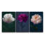 Fleurs vibrantes et élégantes sur fond sombre, photographie de salon minimaliste moderne-102480456-102480457