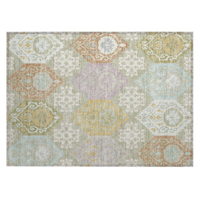 Machine Washable Indoor/Outdoor Chantille ACN2588 Panel Rug