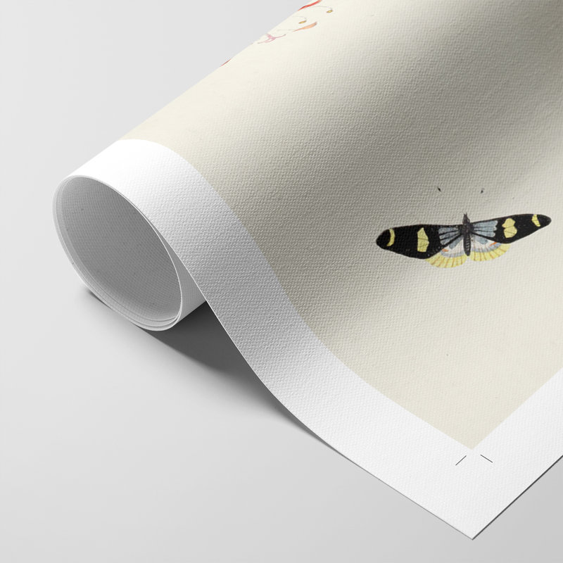 Bird in Habitat I - Impression sur toile seulement - NON-CADRE, H 18 po x l 12 po