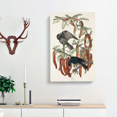 Fish Crows by John James Audubon - Wrapped Canvas