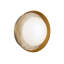 Alonso Dimmable Bath Sconce-88778621