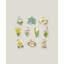 Celebrate Flowers 10-Piece Ornament Set