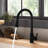 NOVEL Pull Out Kitchen Faucet-65770972