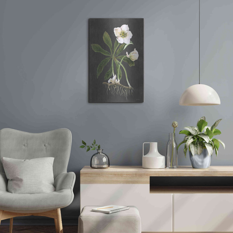 Luxe métal Art «Hellebore» par Lettered & Lined, Me «Hellebore» par Lettered & Lined, H 24 po x l 16 po
