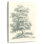 Tree Study II
