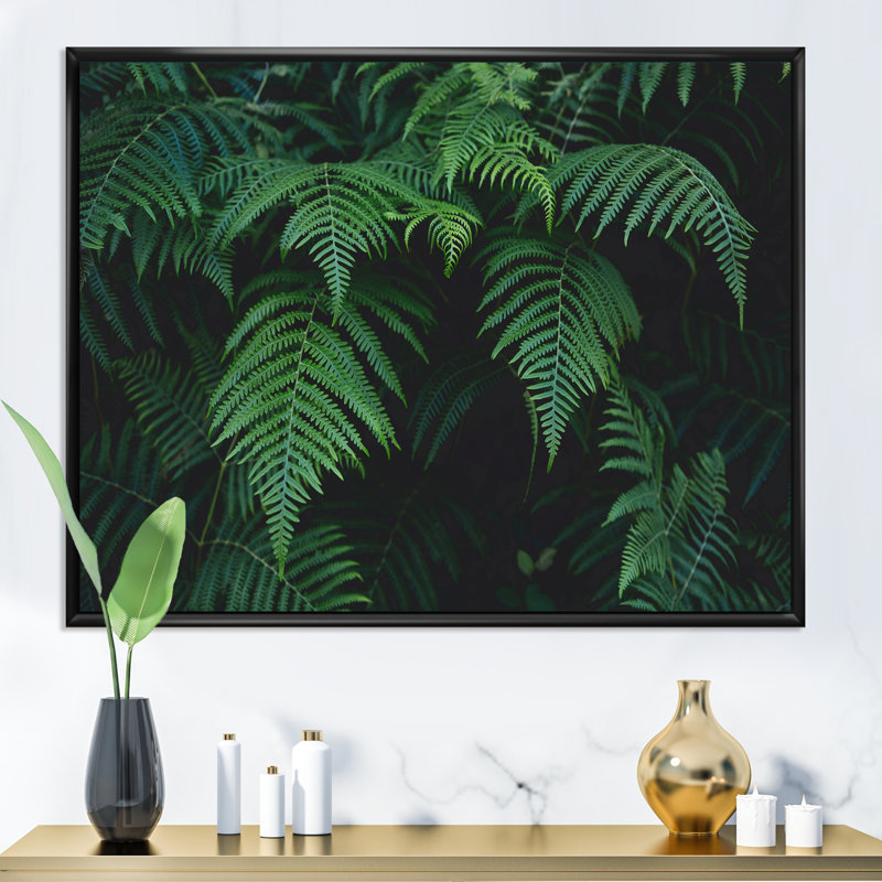 Fougères vert foncé dans la forêt I - photographie sur toile, H 34 po x l 44 po, Cadre noir