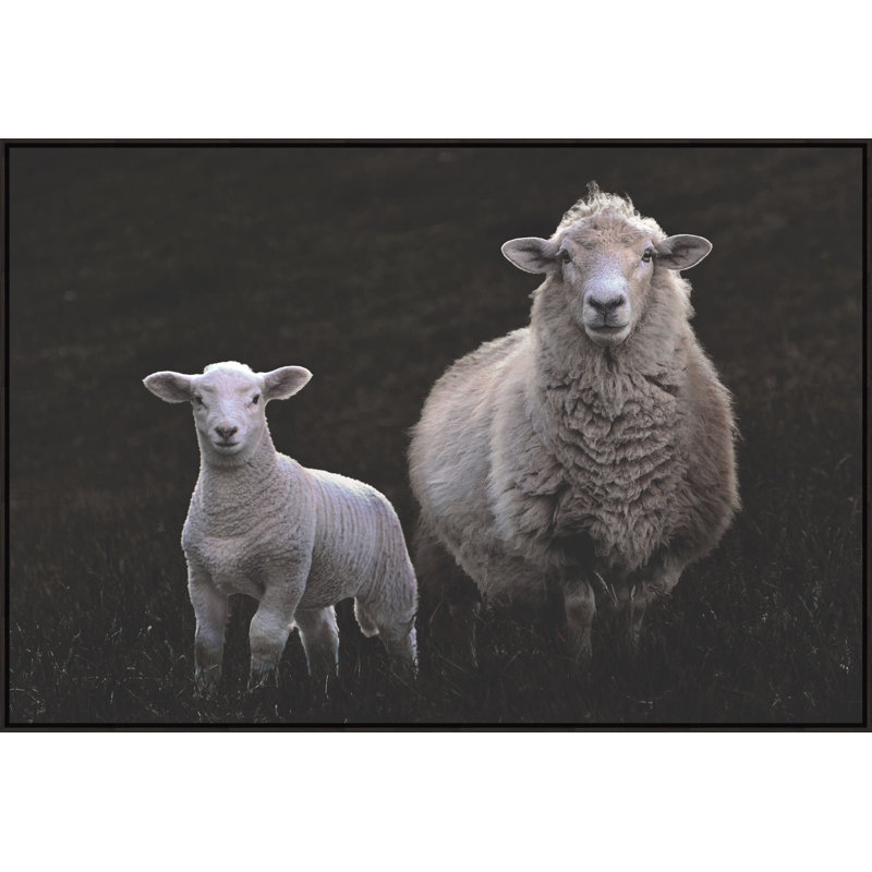 Counting Sheep 1 Print by Studio L57 Narrative, 12.16" H x 17.16" W