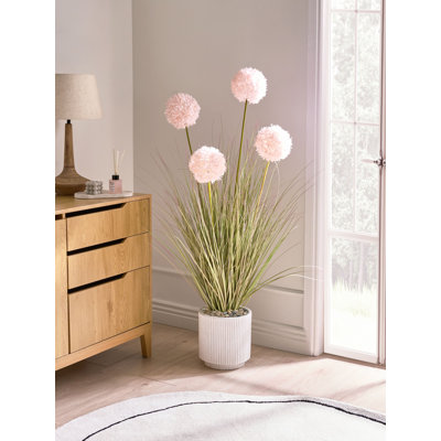 120cm Plant