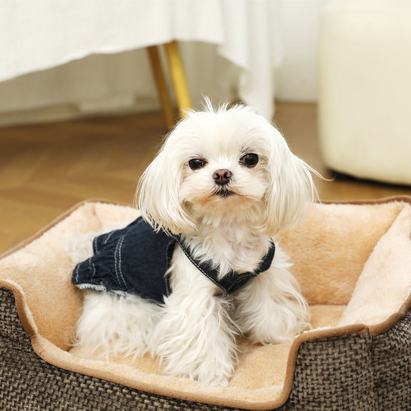 Polyester Pet Bed, 13cm H x 50cm W x 40cm D