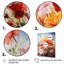 Meadow Marigold Meadows II - impressions sur toile florales et botaniques-268391600-268391601