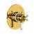 Unlacquered Brass