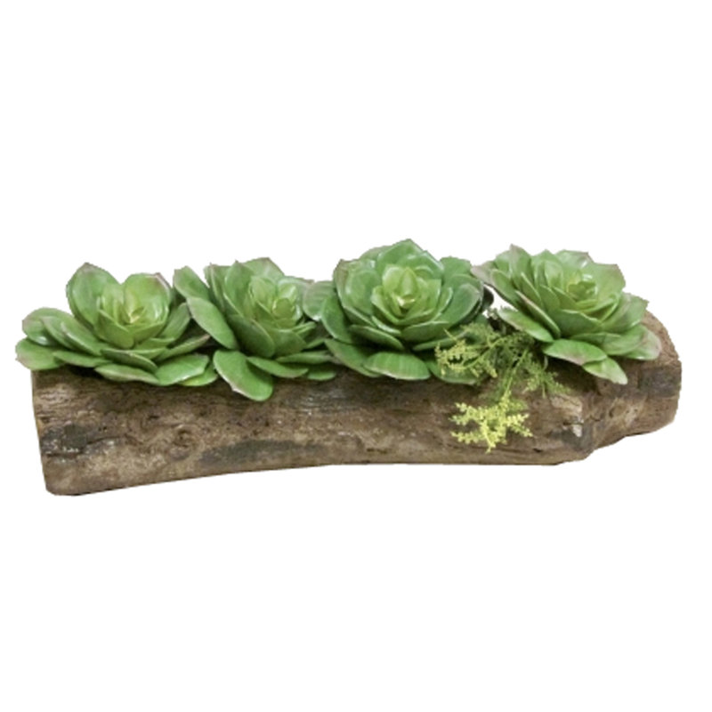 Pot de fleurs en béton Harmon, H 2,5 po x l 14,5 po x P 5,5 po, Naturel