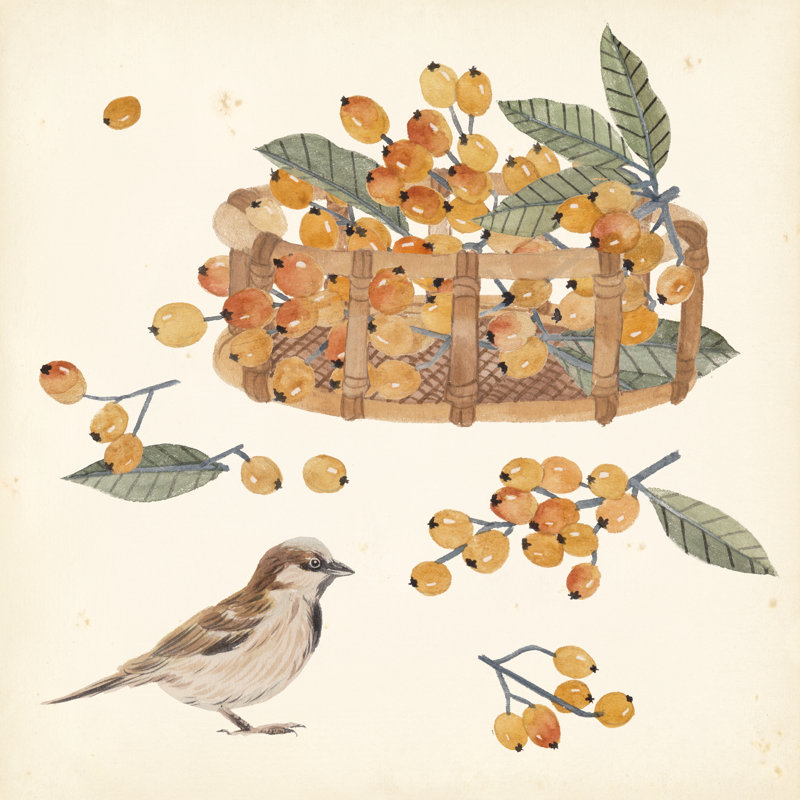 «Basket with Fruit III» par Melissa Wang - peinture sur toile tendue, H 20 po x l 20 po