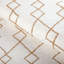 Geo Graphica-1668557258