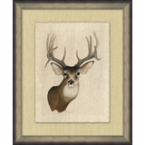 Deer Head 1 Print