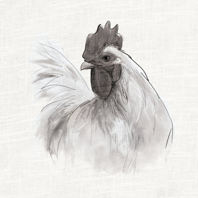 Sketchy Rooster Portrait 2 - Wrapped Canvas Print