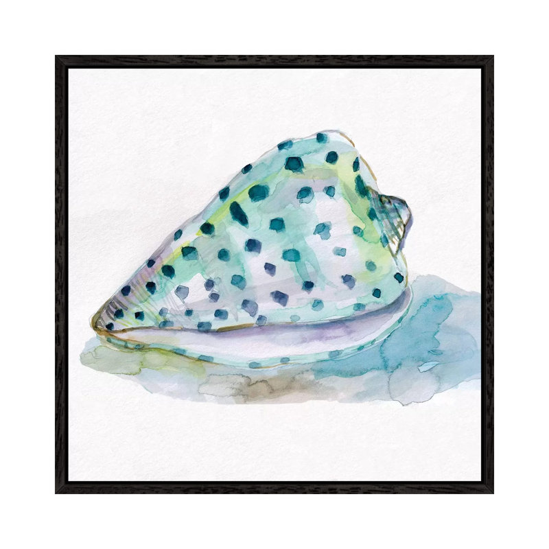 Malecon Shell IV 1 Piece Wall Art on Canvas, 66.04 cm H x 66.04 cm W, Black Framed