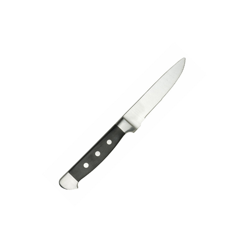 Fortessa Vaquero Steak Knife Set