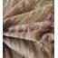 Fossil Fabric