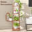 Tyjah Plant Stand