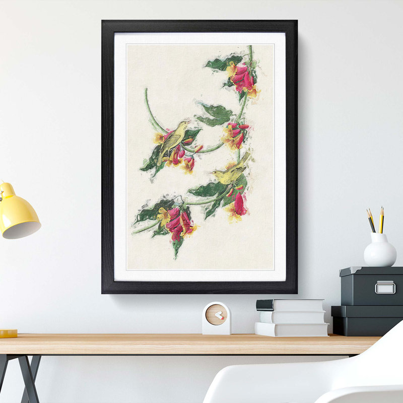 Rathbone Warbler Birds by John Audubon - Picture Frame Painting Print, 65cm H x 48cm W x 2cm D, Black Framed