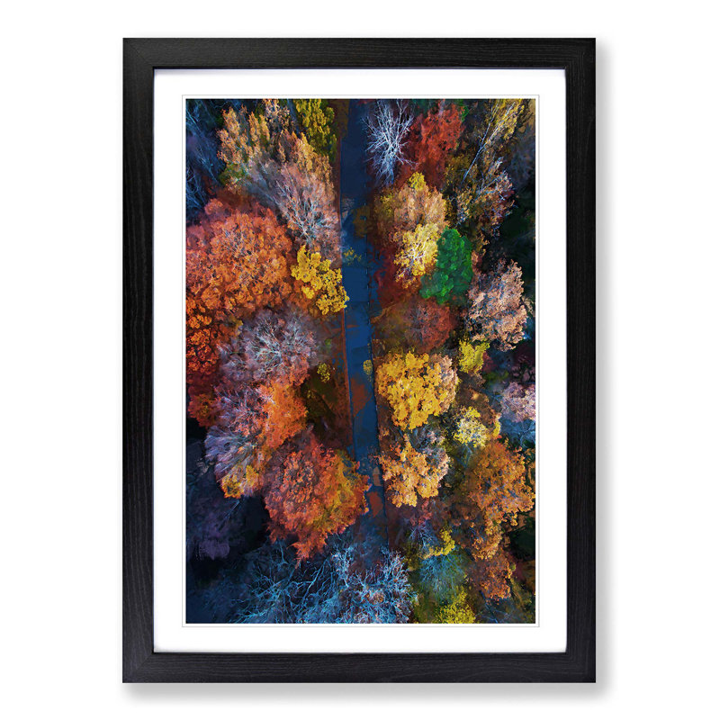 Autumn Road in Abstract - Picture Frame Graphic Art Print, 36cm H x 27cm W x 2cm D, Black Framed