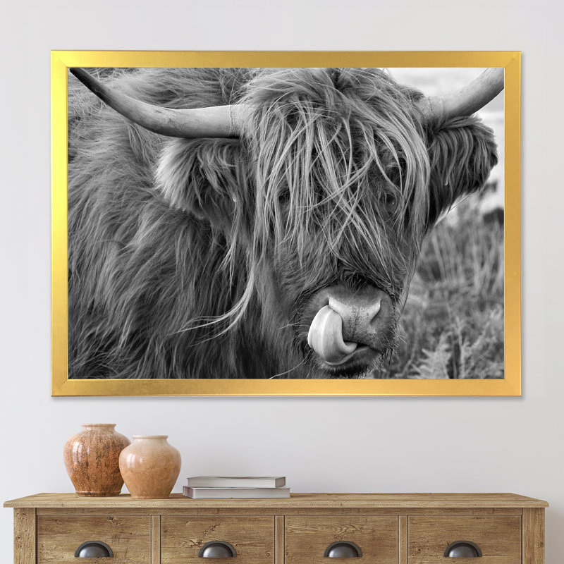 «Scottish Cow on Moorland II» - photographie sur toile, H 12 po x l 20 po x p 1 po, Cadre doré