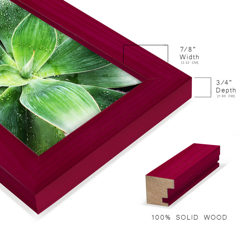 Green Tropical Succulent IV - reproduction d'un seul cadre photo, Rouge, H 7 po x l 5 po x P 1 po