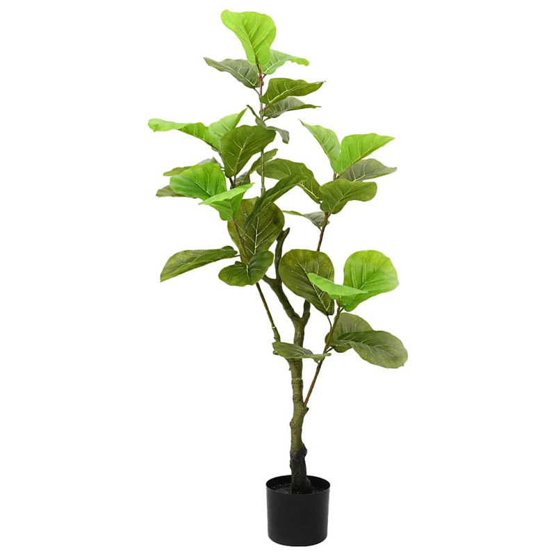 125cm Plant