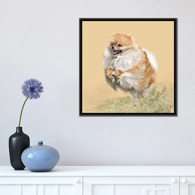 Vicki Newton " Pomeranian " by Vicki Newton