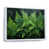 White Floater Framed