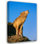 «Loon Peak® Garber, Howie Gallery», art sur toile tendue: Loup gris