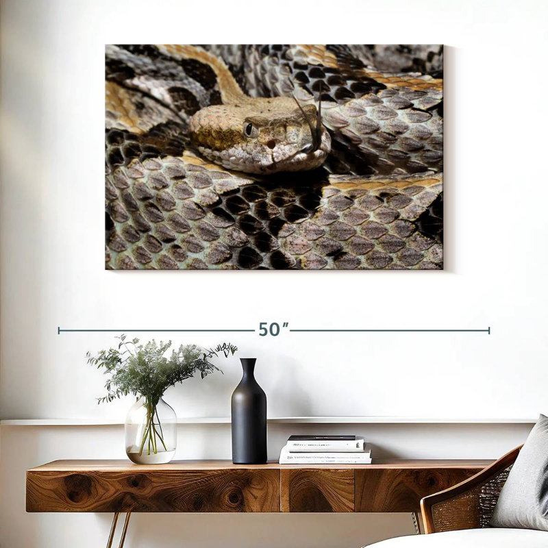 Brampt Tongue Flicking Timber Rattlesnake