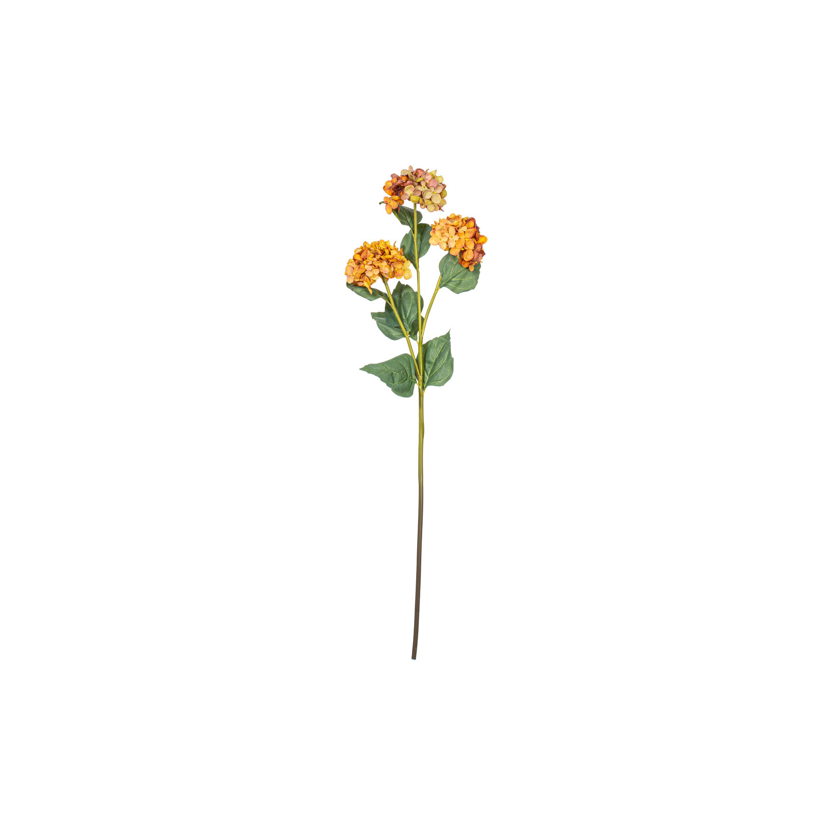 Hydrangea Stem, Yellow
