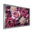 Silver Single Picture Framed
