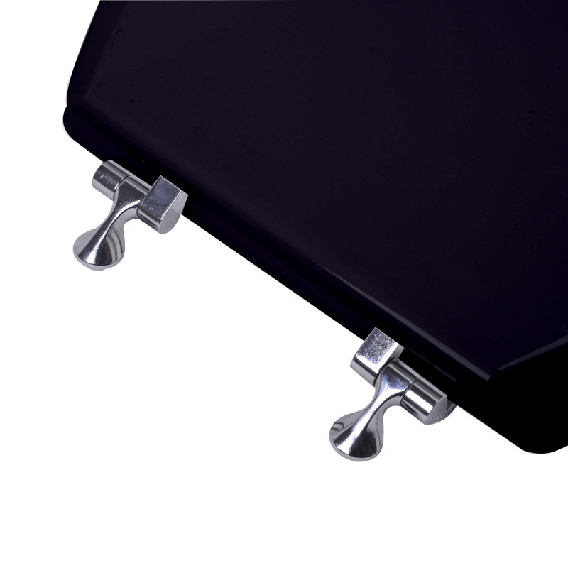 Elongated Toilet Seat and Lid, Black