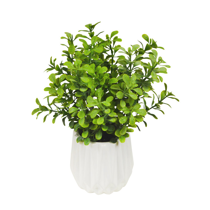 6" Faux Boxwood Plant in White Ribbed Vase