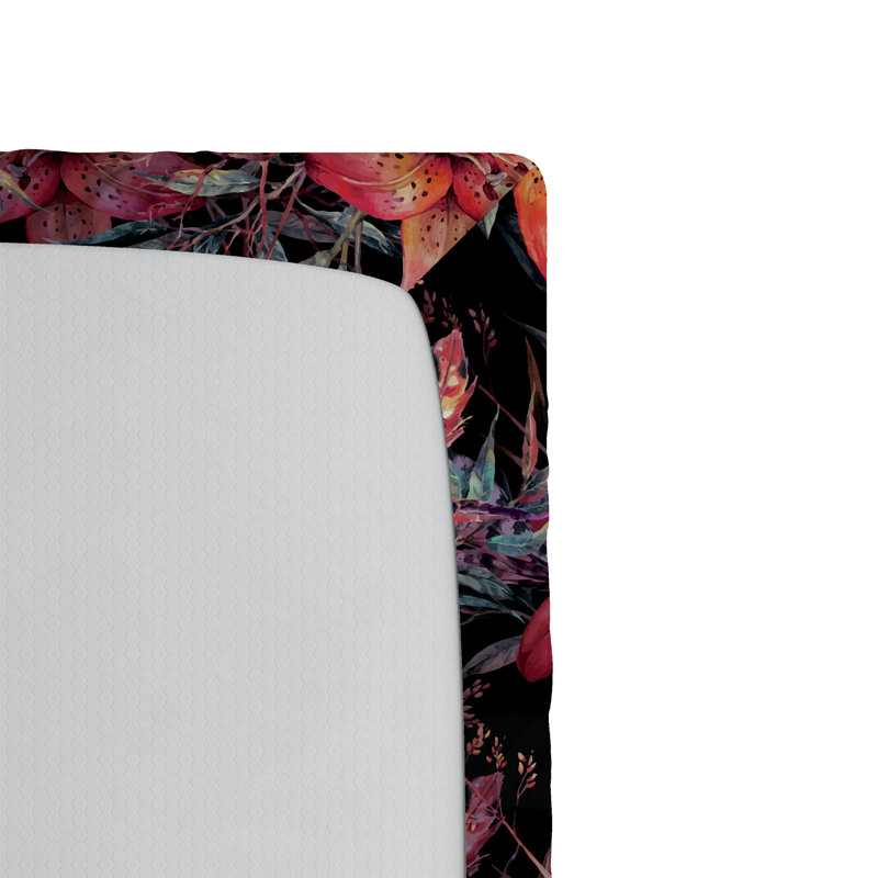 Drap-housse Ambesonne