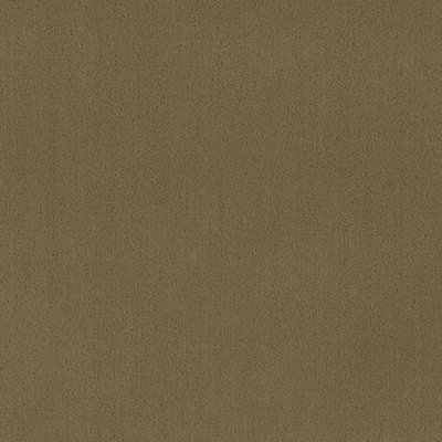 Blaine Fabric